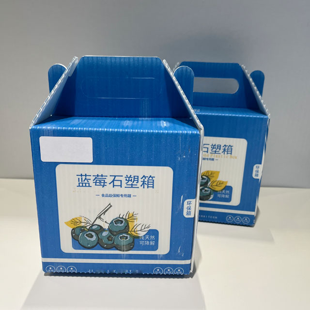 Caja de plástico de piedra de cojinete impermeable degradable ambiental