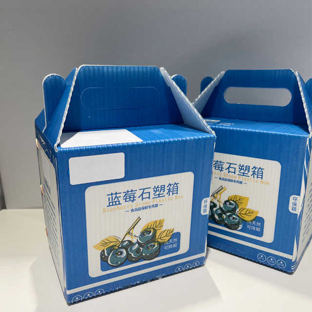 Caja de plástico de piedra de cojinete impermeable degradable ambiental